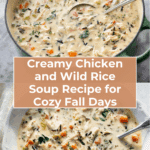 Chicken and Wild Rice Soup Recipe