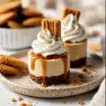 No Bake Mini Biscoff Cheesecakes Recipe