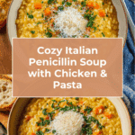Italian Penicillin Soup Recipe