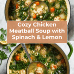 Chicken Meatball Soup Recipe