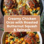 Creamy Chicken Orzo with Butternut Squash and Spinach Recipe