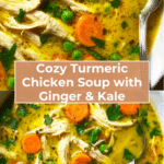 Anti Inflammatory Turmeric Chicken Soup Recipe