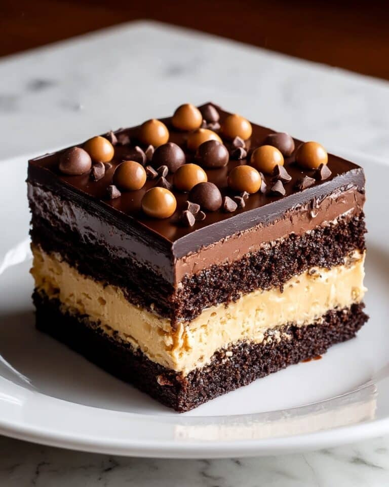 Chocolate Peanut Butter Texas Sheet Cake Recipe