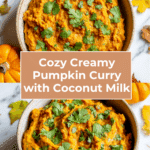 Creamy Indian Pumpkin Curry Recipe